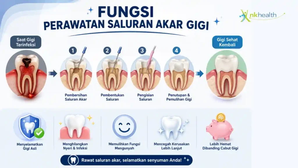 Fungsi Perawatan Saluran Akar Gigi​